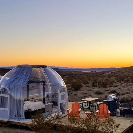 Jthavn-Joshua Tree Remote Dessert Bubble Dome Zewnętrze zdjęcie