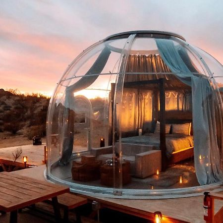 Jthavn-Joshua Tree Remote Dessert Bubble Dome Zewnętrze zdjęcie