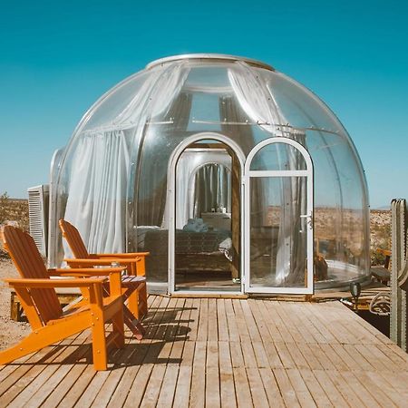Jthavn-Joshua Tree Remote Dessert Bubble Dome Zewnętrze zdjęcie
