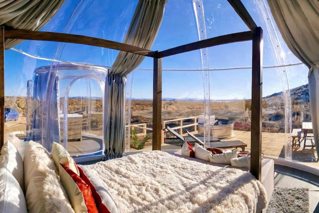 Jthavn-Joshua Tree Remote Dessert Bubble Dome Zewnętrze zdjęcie