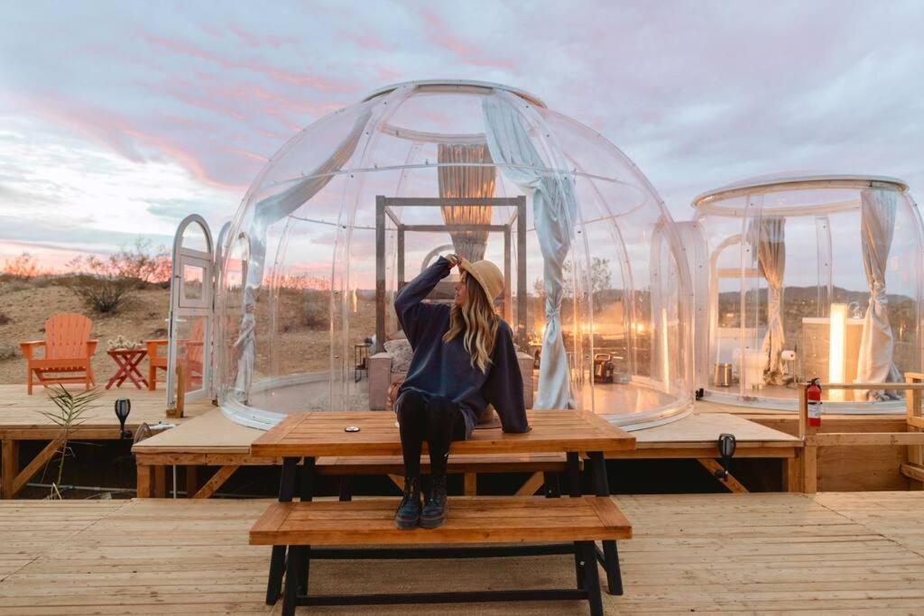 Jthavn-Joshua Tree Remote Dessert Bubble Dome Zewnętrze zdjęcie