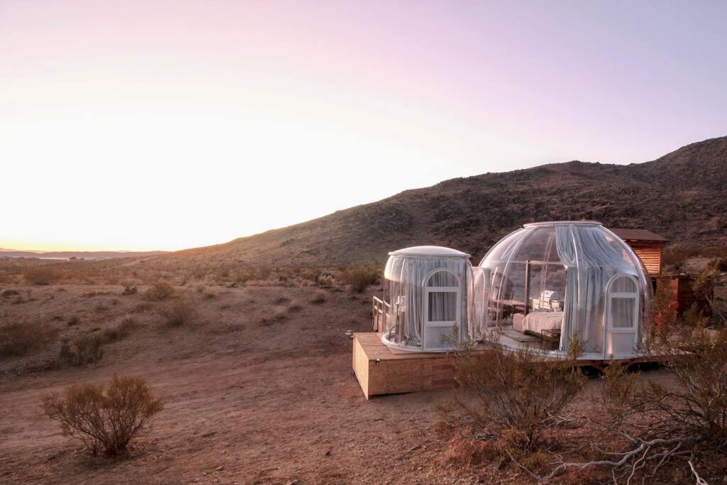Jthavn-Joshua Tree Remote Dessert Bubble Dome Zewnętrze zdjęcie