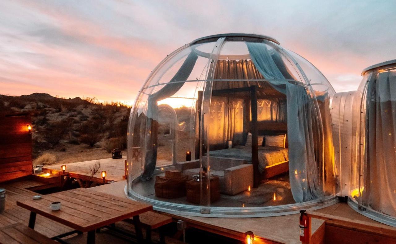 Jthavn-Joshua Tree Remote Dessert Bubble Dome Zewnętrze zdjęcie