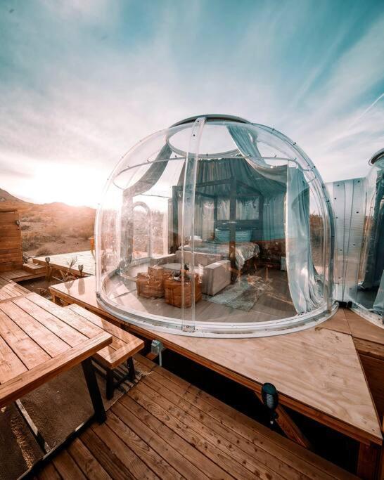 Jthavn-Joshua Tree Remote Dessert Bubble Dome Zewnętrze zdjęcie