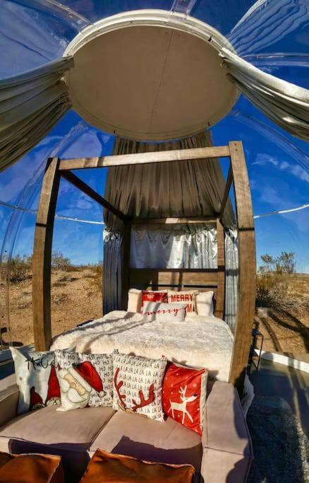Jthavn-Joshua Tree Remote Dessert Bubble Dome Zewnętrze zdjęcie