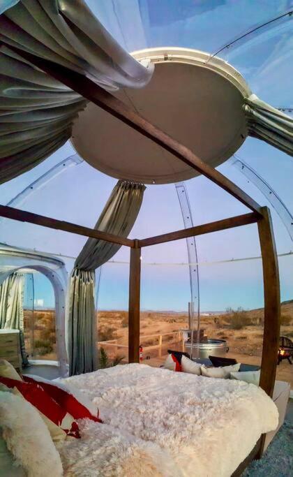 Jthavn-Joshua Tree Remote Dessert Bubble Dome Zewnętrze zdjęcie