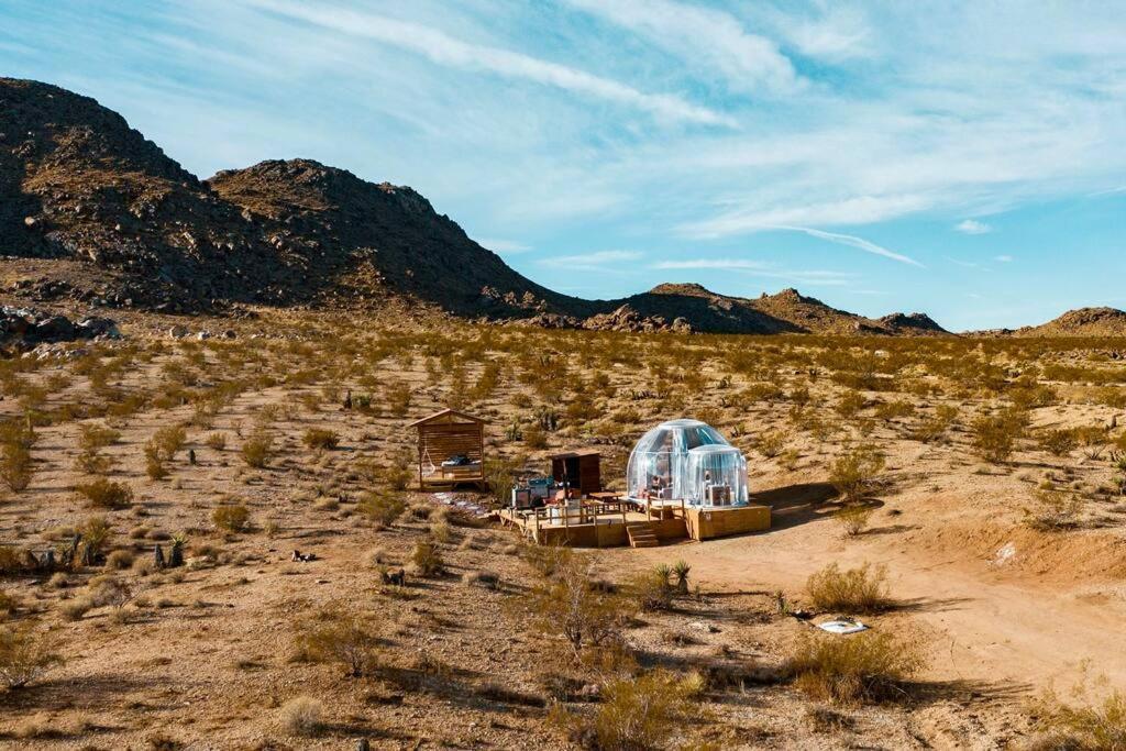 Jthavn-Joshua Tree Remote Dessert Bubble Dome Zewnętrze zdjęcie