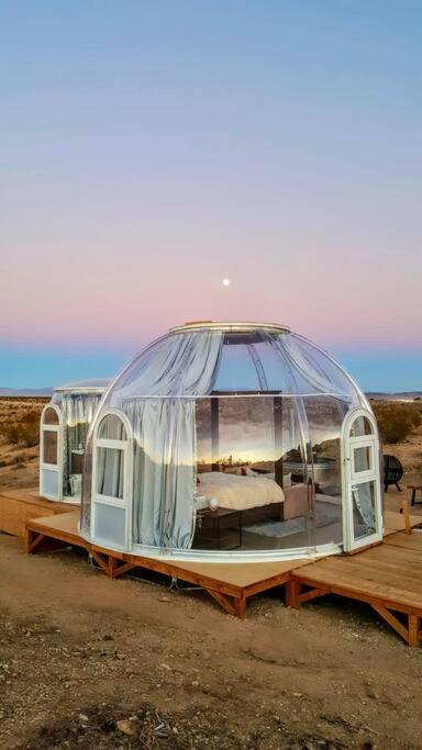 Jthavn-Joshua Tree Remote Dessert Bubble Dome Zewnętrze zdjęcie