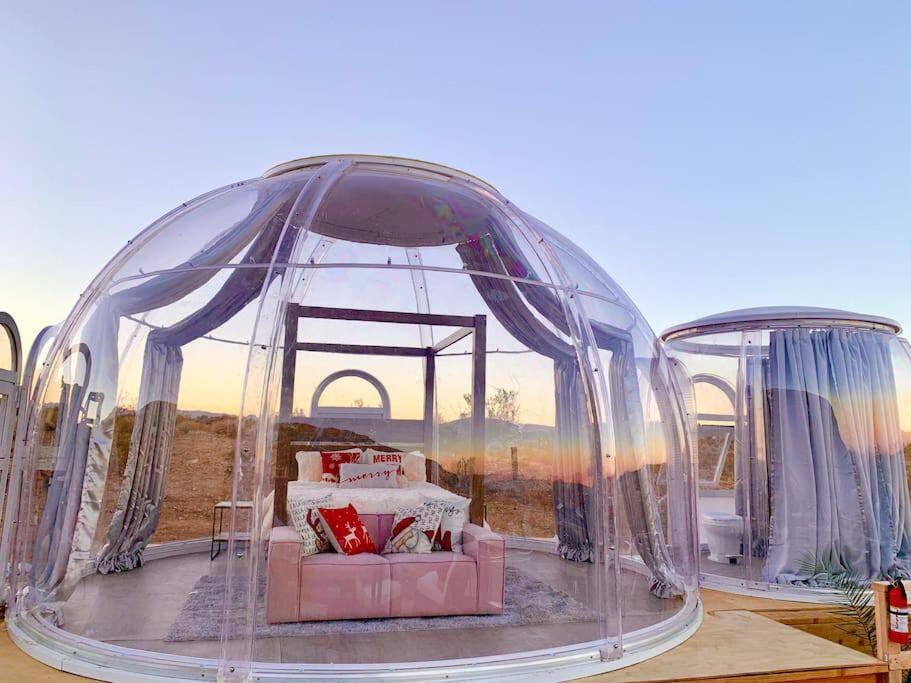 Jthavn-Joshua Tree Remote Dessert Bubble Dome Zewnętrze zdjęcie