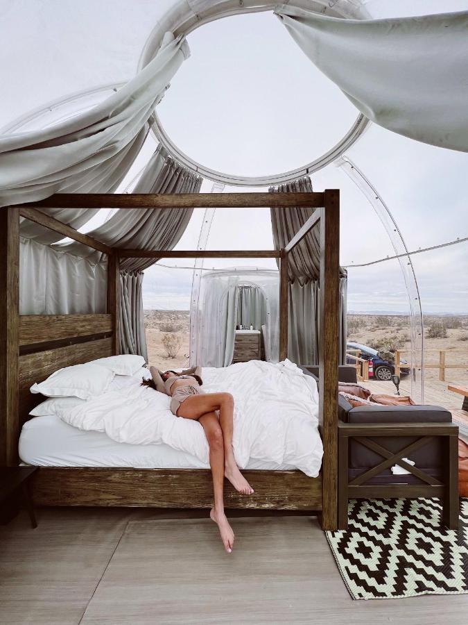 Jthavn-Joshua Tree Remote Dessert Bubble Dome Zewnętrze zdjęcie